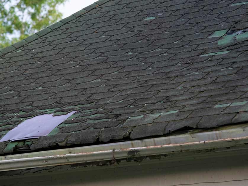 Can Your Roof Develop Dry Rot?