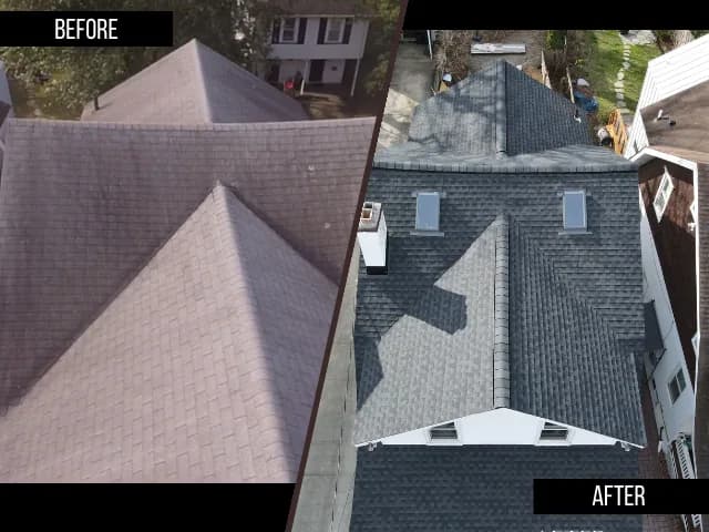 Before & After Transformations
