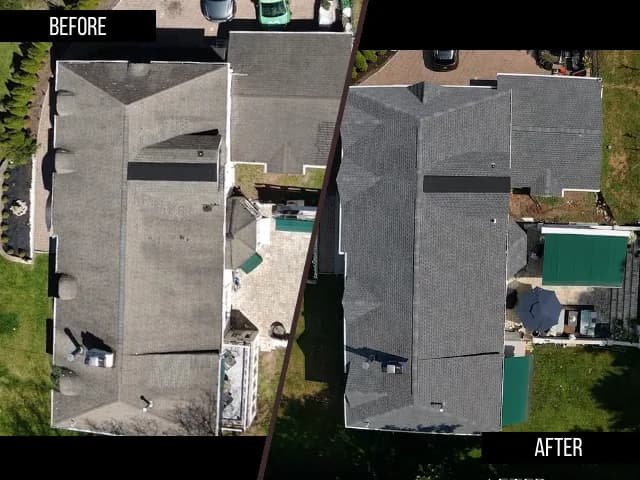 Before & After Transformations