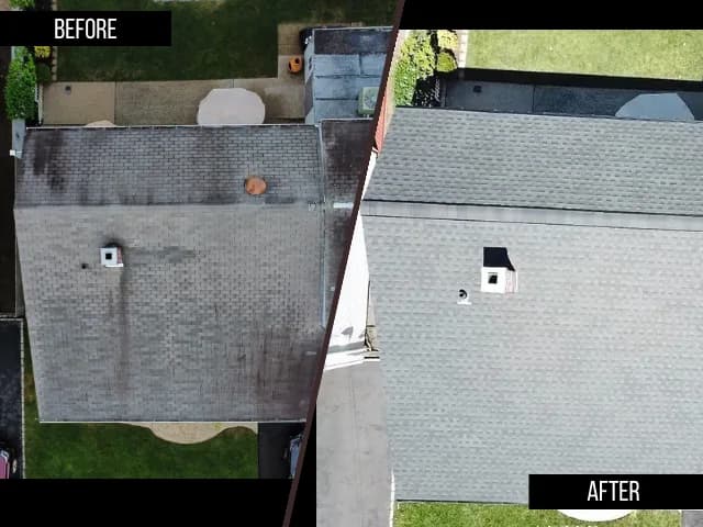 Before & After Transformations