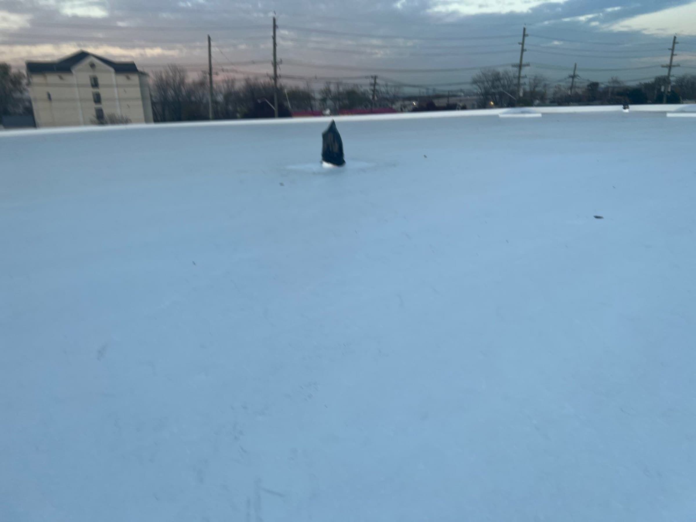 Commercial low-slope roof, East Rutherford, NJ, project photo 3